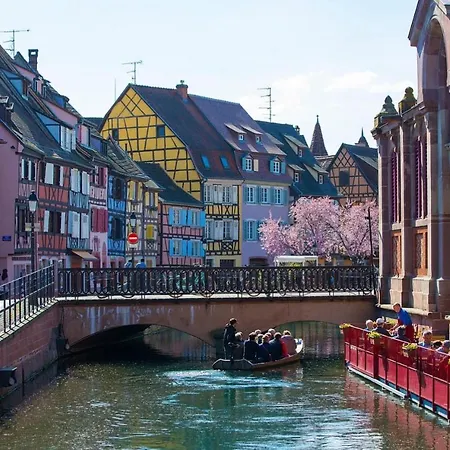 Le Ptit Chauffour - Hyper Centre De & Au Calme Colmar