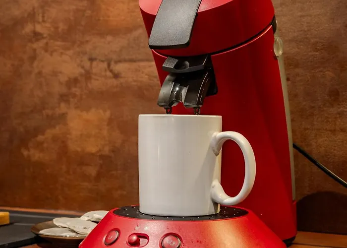 Apartament Le Ptit Chauffour - Hyper Centre - Transports En Commun - Commerces A Proximite *