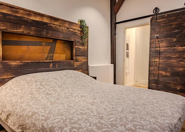 Le Ptit Chauffour - Hyper Centre - Transports En Commun - Commerces A Proximite Colmar